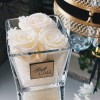 Baltos / kreminės miegančios rožės stiklo vazoje