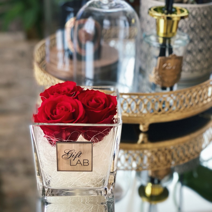Raudonos miegančios rožės stiklo vazoje